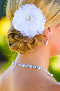 A beautiful bride wearing her wedding dress on her special day at a vineyard outdoors in Oregon during the summer.