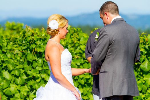 A groom places a ring on the finger of his bride during their wedding ceremony at a winery vineyard in Oregon.