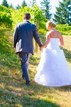 A bride and groom walk away from the camera after their ceremony at a vineyard winery in Oregon.