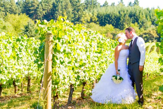 A bride and groom share a kiss after their ceremony on their wedding day at a vineyard winery in Oregon outdoors.