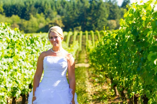 A beautiful bride wearing her wedding dress on her special day at a vineyard outdoors in Oregon during the summer.