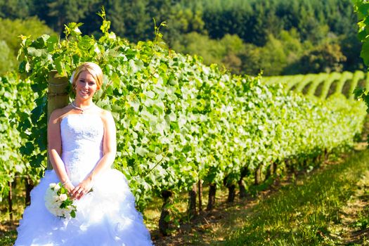 A beautiful bride wearing her wedding dress on her special day at a vineyard outdoors in Oregon during the summer.