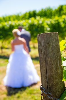 A man and woman share a first look moment as bride and groom outdoors at a winery vineyard in Oregon.