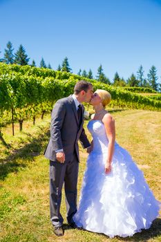 A bride and groom share a romantic kiss on their wedding day at a winery vineyard in oregon.