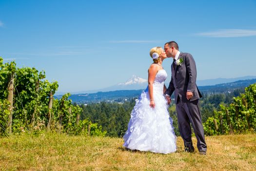 A bride and groom share a romantic kiss on their wedding day at a winery vineyard in oregon.