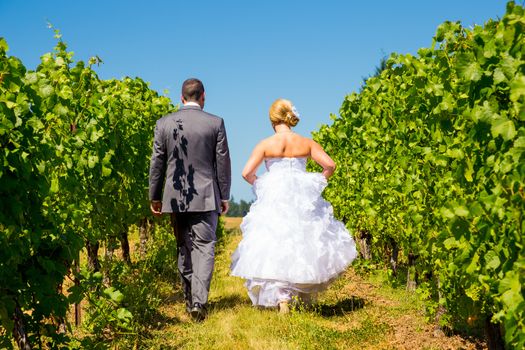 A bride and groom walk away from the camera at a vineyard at a winery in Oregon near portland and mount hood.