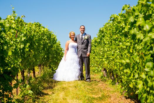 A bride and groom pose for portraits on their wedding day at a winery vineyard outdoors in oregon.