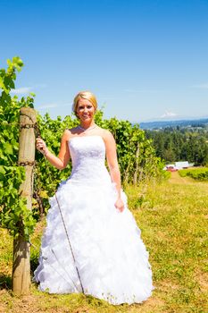 A beautiful bride wearing her wedding dress on her special day at a vineyard outdoors in Oregon during the summer.