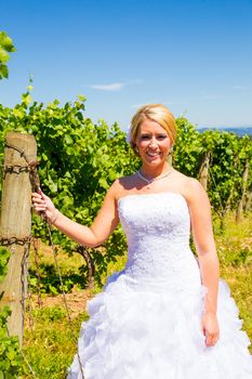 A beautiful bride wearing her wedding dress on her special day at a vineyard outdoors in Oregon during the summer.