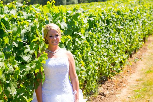 A beautiful bride wearing her wedding dress on her special day at a vineyard outdoors in Oregon during the summer.