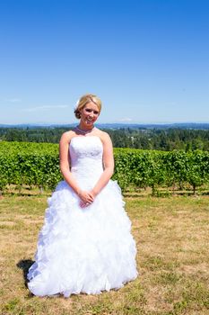 A beautiful bride wearing her wedding dress on her special day at a vineyard outdoors in Oregon during the summer.