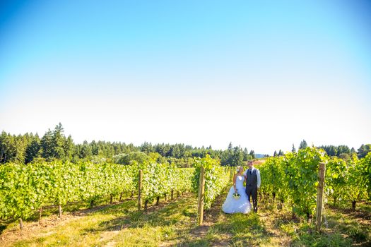 Portraits of a bride and groom outdoors in a vineyard at a winery in Oregon right after their ceremony and vows.