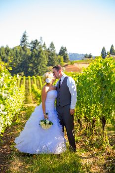 A bride and groom share a kiss after their ceremony on their wedding day at a vineyard winery in Oregon outdoors.