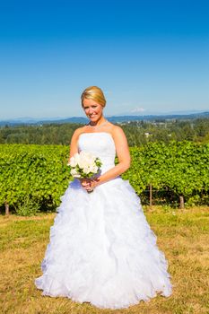 A beautiful bride wearing her wedding dress on her special day at a vineyard outdoors in Oregon during the summer.