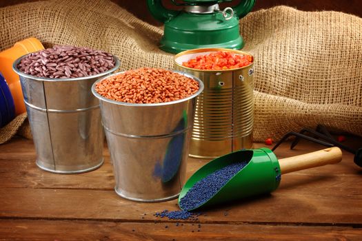 colored sowing seeds in metal bucket close up 