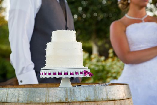 A bride and groom share in the tradition of cutting the cake on their wedding day.