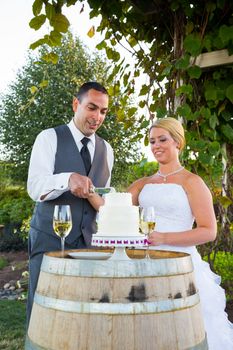 A bride and groom share in the tradition of cutting the cake on their wedding day.