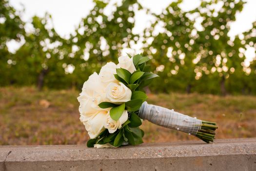 At a winery in Oregon the bouquet of a bride is mixed into the vineyard vines during sunset.