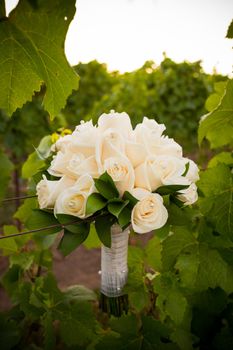 At a winery in Oregon the bouquet of a bride is mixed into the vineyard vines during sunset.
