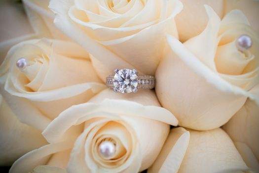 The rings of a bride and groom are photographed with a macro lens to show the closeup detail of these fine pieces of jewelry.