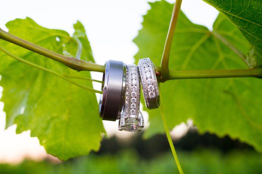 The rings of a bride and groom are photographed with a macro lens to show the closeup detail of these fine pieces of jewelry.