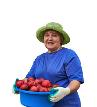 Senior woman holding a bowl with red apples. Image is isolated on white