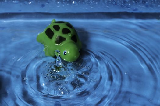 A close shot of a water splash with a green rubber turtle.