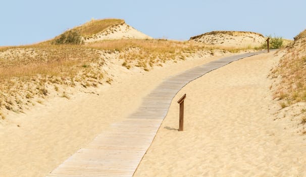 wooden trail with posted on dune Nagliu, Curonian Spit, Lithuania