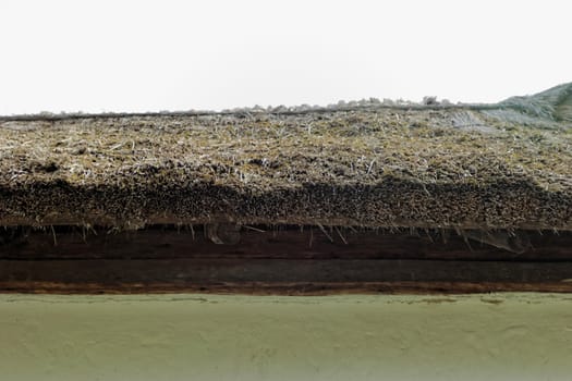 Close-up of a reed roof