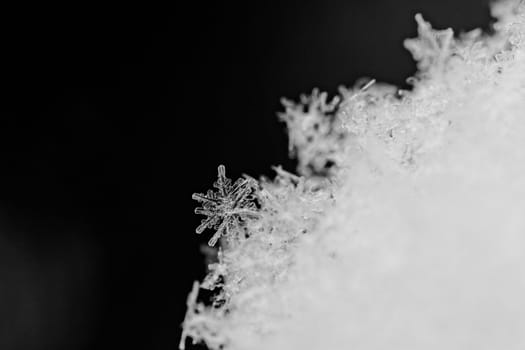 beauty white snowflake crystals on dark background