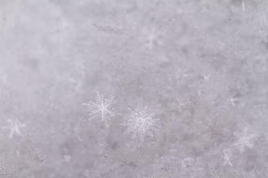 beauty white snowflake crystals on dark background