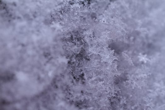 beauty green snowflake crystals on dark background