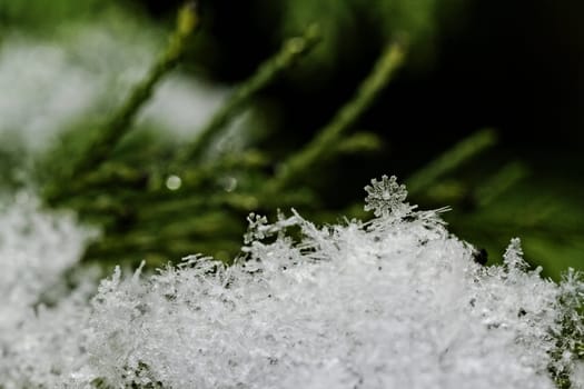 beauty white snowflake crystals on dark background