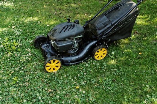 Black lawnmower in the garden lawn the grass with fuel engine