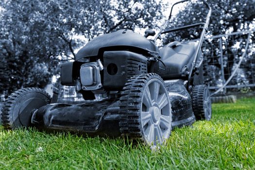 Black lawnmower in the garden lawn the grass with fuel engine with blue filter