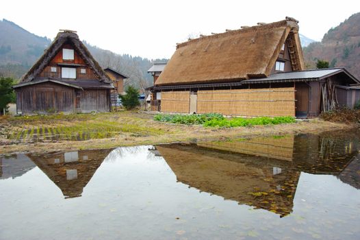 Unique Home Style of Ogimachi Village in Shirakawago