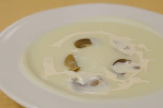 close up mushroom soup in white bowl  on wooden table