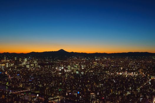 Tokyo twilight