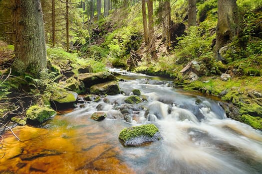 The river runs over boulders in the primeval forest - HDR