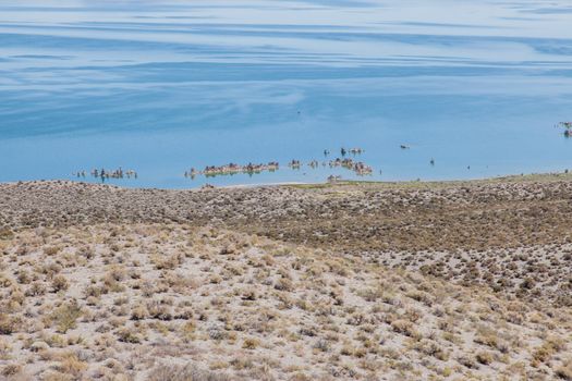 Mono Lake is a large, shallow saline lake in Mono County, California, The lack of an outlet causes high levels of salts to accumulate in the lake.
