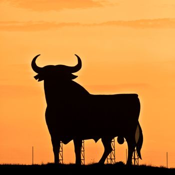 Spain,silhouette of a bull in the field in Andalucia.