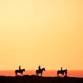 Silhouettes of the horse riders on the coast.