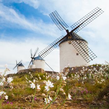 Vintage widnmills in the mainland of La Mancha, Consuegra, Spain.