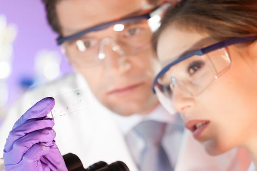 Attractive young scientist and her post doctoral supervisor looking at the microscope slide in the forensic laboratory.