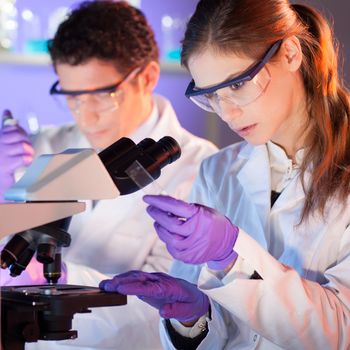 Attractive young scientist and her post doctoral supervisor working on a project in the life science laboratory.