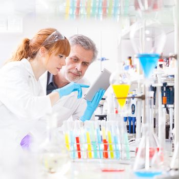 Attractive young female scientist and her senior male supervisor checking experiment protocol at tablet laptop computer in the life science research laboratory (bichemistry, genetics, forensics, microbiology..)