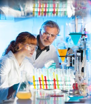 Attractive young female scientist and her senior male supervisor looking at the cell colony grown in the petri dish in the life science research laboratory (biochemistry, genetics, forensics, microbiology..)