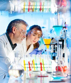 Attractive young female scientist and her senior male supervisor looking at the cell colony grown in the petri dish in the life science research laboratory (biochemistry, genetics, forensics, microbiology..)