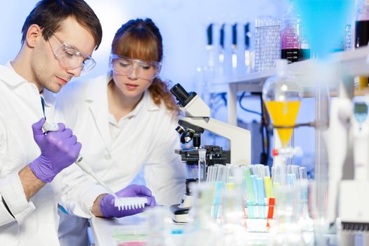 Young male researcher pipetting liquid in the 96 well microplate in the (forensics, microbiology, biochemistry, genetics, oncology...)laboratory. Female asistant science student watching and learning the protocol.