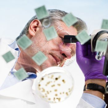 Focused senior life science professional routine screening the microscope slides in the cell laboratory. Lens focus on the researcher's face.